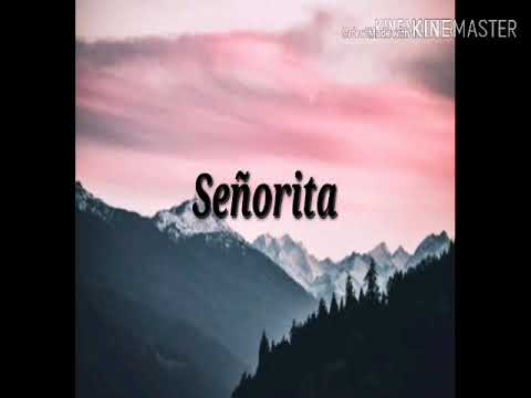 Señorita-Shawn Mendes & Camila Abello lyrics