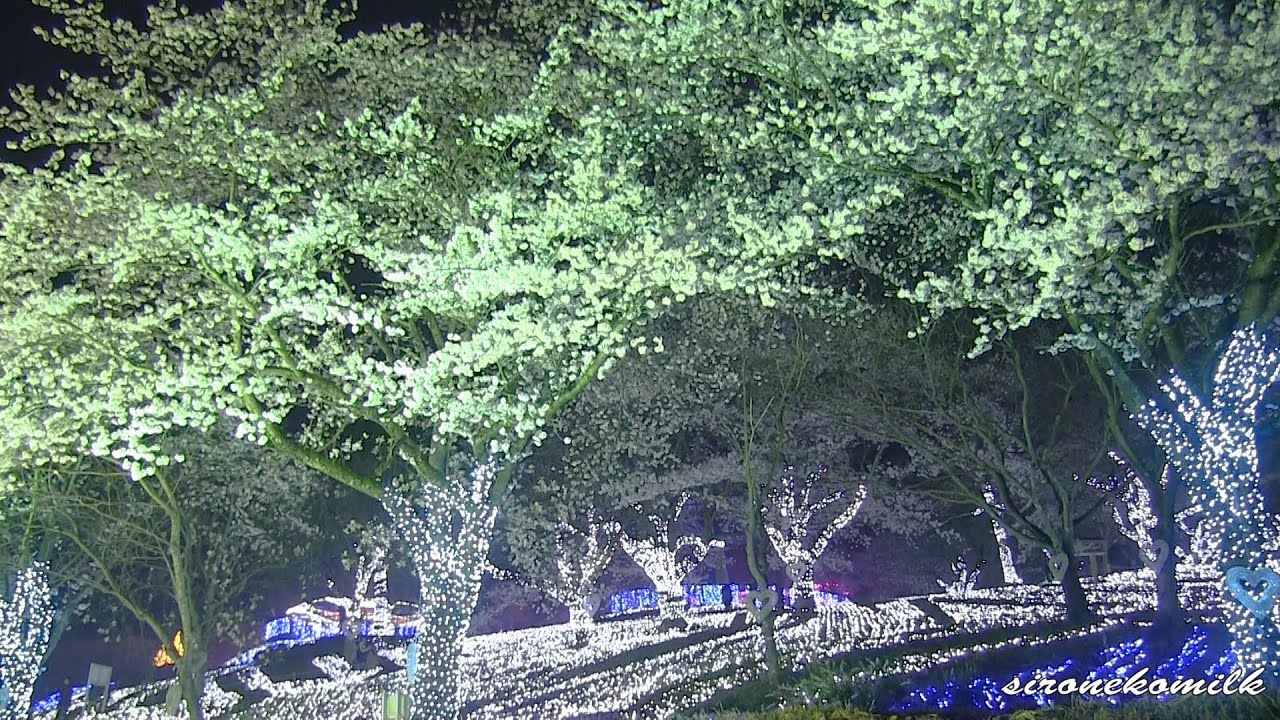 さがみ湖イルミリオンの混雑回避や滞在時間は 臨時駐車場や夜桜も さがみ湖イルミリオンの混雑回避や滞在時間は 臨時駐車場や夜桜も
