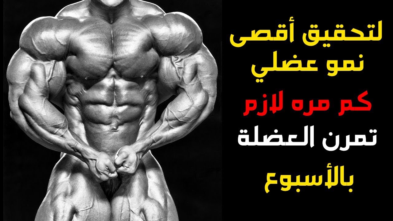 لتحقيق اقصى نمو عضلي كم مره لازم تمرن العضلة - كم مرة امرن العضلة في الاسبوع - كيف اضخم
