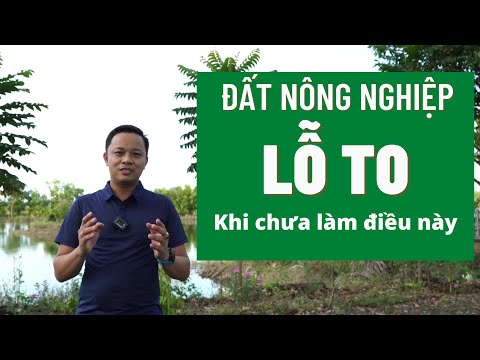 Video: Đất nào có nhiều lỗ rỗng nhất?