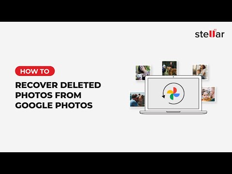 How to Recover Deleted Photos from Google Photos?