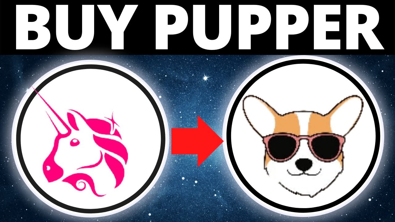 Tutorial Buy Pupper Coin PLP Token On Uniswap & Metamask Wallet