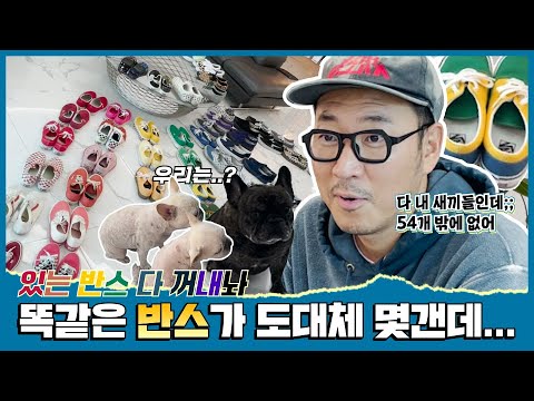 👥👤 맨날 반스만 신네... 도대체 몇개야? 얼마 없어.. 54켤레 정도? 😋 ｜ 장풍 👟 반스 컬렉션 Vans Collection