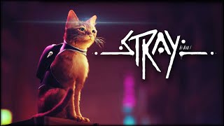 I Am Cat. Meow - Stray Gameplay Part 1