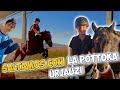 Día de Salto con la POTTOKA Urjauzi 🐴❤️ #caballos #equestrian
