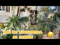 Así está mi JARDÍN en enero… un desastre y han pasado cosas🌿😱les cuento un poco 😭 #gardening