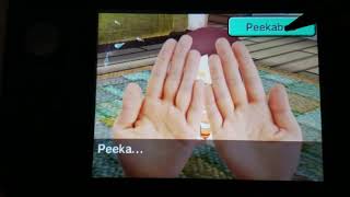 Tomodachi Life - Mii Home - Peek-A-Boo To Baby Riley