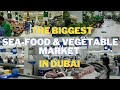 The Biggest SEA-FOOD &amp; VEGETABLE Market in DUBAI, UAE