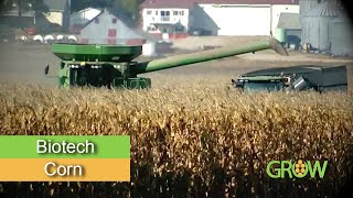 Nebraska farmers want to hold Mexico's 'feet to the fire' on biotech corn