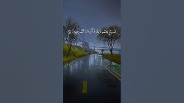 وَلَقَدْ نَعْلَمُ أَنَّكَ يَضِيقُ صَدْرُكَ...#سورة_النحل #القرآن_الكريم #راحة_نفسية #القرآن_حياتنا