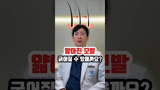 얇아진 모발 굵어질 수 있을까요?