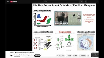 Navigating High Dimensional Spaces - How This Relates To Our Understanding of AI - Michael Levin