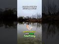 Savage Gear Deviator la TotalFishing
