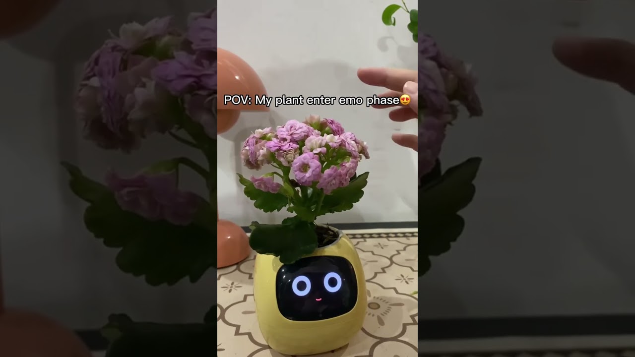 Elevate your indoor garden with Greenmate Ivy – the smart planter that ensures effortless, thrivin