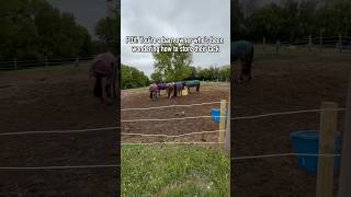 Gator Magnetics Pole Barn Storage for Horse Bridle