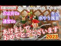 385{多肉植物}2023新春🎍冬の水やり風景💧お正月寄せ植えの仕立直し【多肉事】【多肉水やり】【カット苗】【シャワーノズル】【ba多肉】【Succulent】