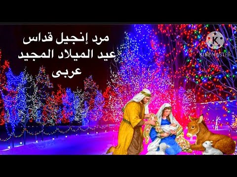 مرد إنجيل قداس عيد الميلاد عربى