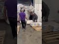 KALIMA FAMILY 425 ARRIVES SOUTH DAKOTA WAREHOUSE WITH HAPPY UNLOADING