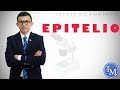 Histología | Epitelio | Generalidades