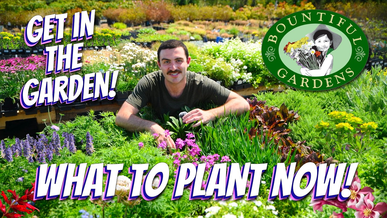 What to Plant NOW! - Warm Season Annuals and Perennials are Back and Blooming!!