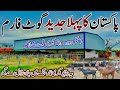 Pakistan  Biggest Modern  Goat Land Farm