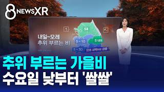 [Weather/XR] Autumn rain brings a cold snap... 'Chilly' from Wednesday afternoon / SBS 8 News