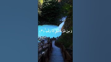 #سورة_الفلق #اكسبلور #القزابري #تيك_توك #المصحف #حالات_واتس #duet #دحمان #دويتو