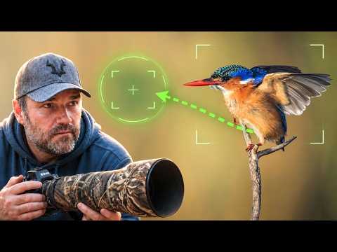 5 Tiny Habits for Better Wildlife Photography