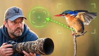 5 Tiny Habits for Better Wildlife Photography