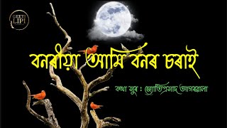 Video thumbnail of "বনৰীয়া আমি বনৰ চৰাই (bonoriya aami bonor sorai) #jyotisangeet #assamesesongs #oldisgold"