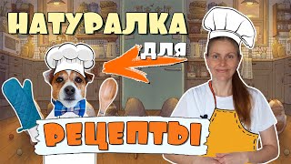 NATURAL FOOD for dogs / RECIPES for dogs for every day 🐶🍖🥗Homemade dog food recipes