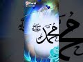 وحياة من خلق محمد
