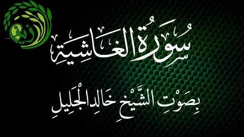 سورة الغاشية بصوت الشيخ خالد الجليل .. زين