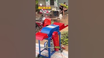 Giải pháp băm thân cây ngô, cây sắn, cỏ voi, cỏ sả năng suất cao | Máy Băm Cỏ 7TA