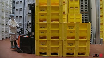 Dolav logistic and handling - DGS Processing Solutions