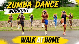 Zumba danse workout, mov and fun. Walk at home 