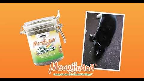 🎉 The Ultimate Catnip Blend! | Meowijuana Catnip Pawty Mix for Happy Cats 😻🌿