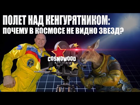 Полет над кенгурятником: почему в космосе не видно звезд?