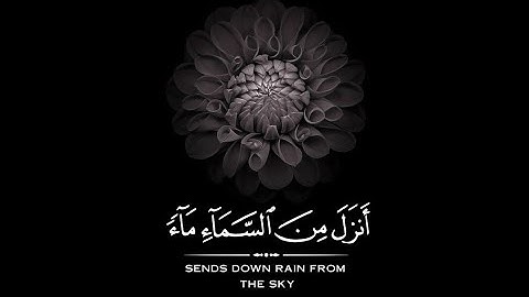 قران كريم | سورة فاطر | القارئ عبدالله الخلف | تلاوة خاشعة😌❤️ | حالات واتس اب