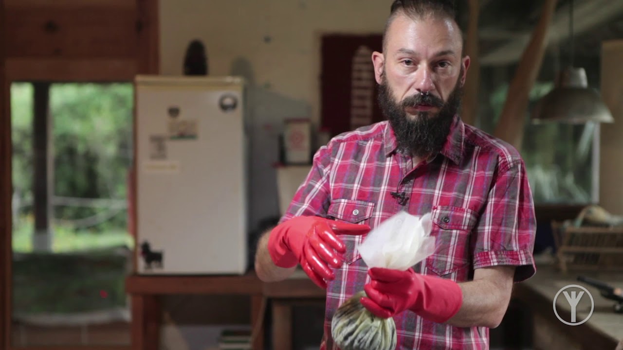 Ep.#15 - Manteiga Canábica