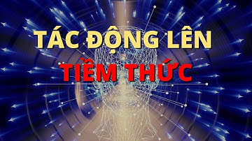 5 Yếu Tố Tác Động Trực Tiếp Lên Tiềm Thức Của Bạn