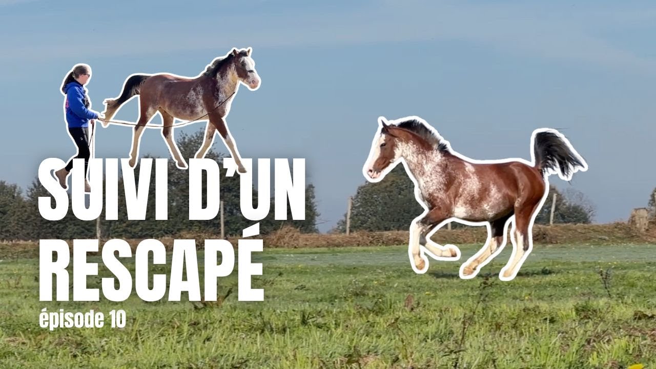 [ÉPISODE 10] Un nouveau souffle