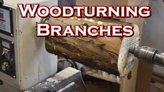 woodturning green branches in 5 easy steps with the pith