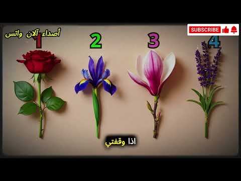اختر زهرة واكتشف القوة التي بداخلك اختبار نفسي كارل يونغ
