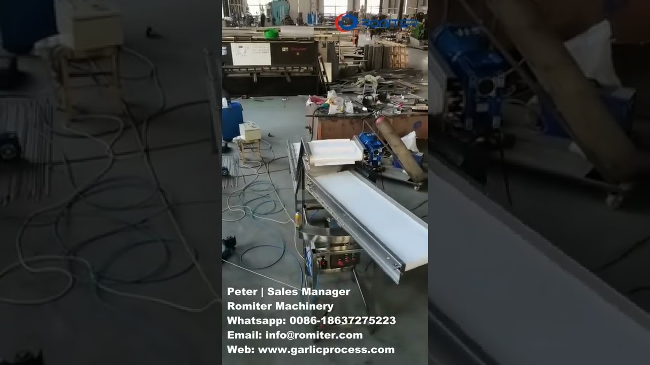 Automatic Material Spreading Feeding Conveyor