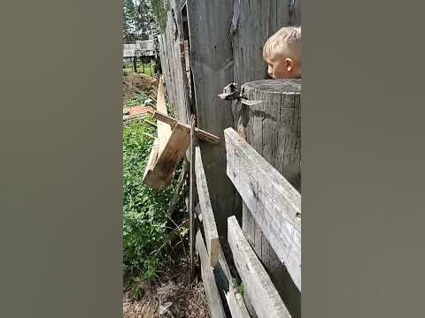 сомбади - YouTube