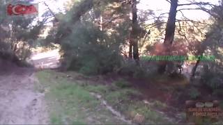 Domuzavcısı İbrahim Hafif Yaralı Olarak Gitti Domuz