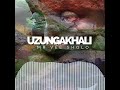 UZUNGAKHALI | MR VEE SHOLO