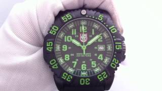 Men's Luminox EVO Navy SEAL Colormark Series Watches 3067