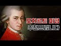 모차르트 피아노 협주곡 추천 5선 | 클래식 음악 추천